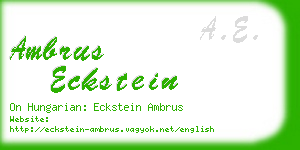ambrus eckstein business card